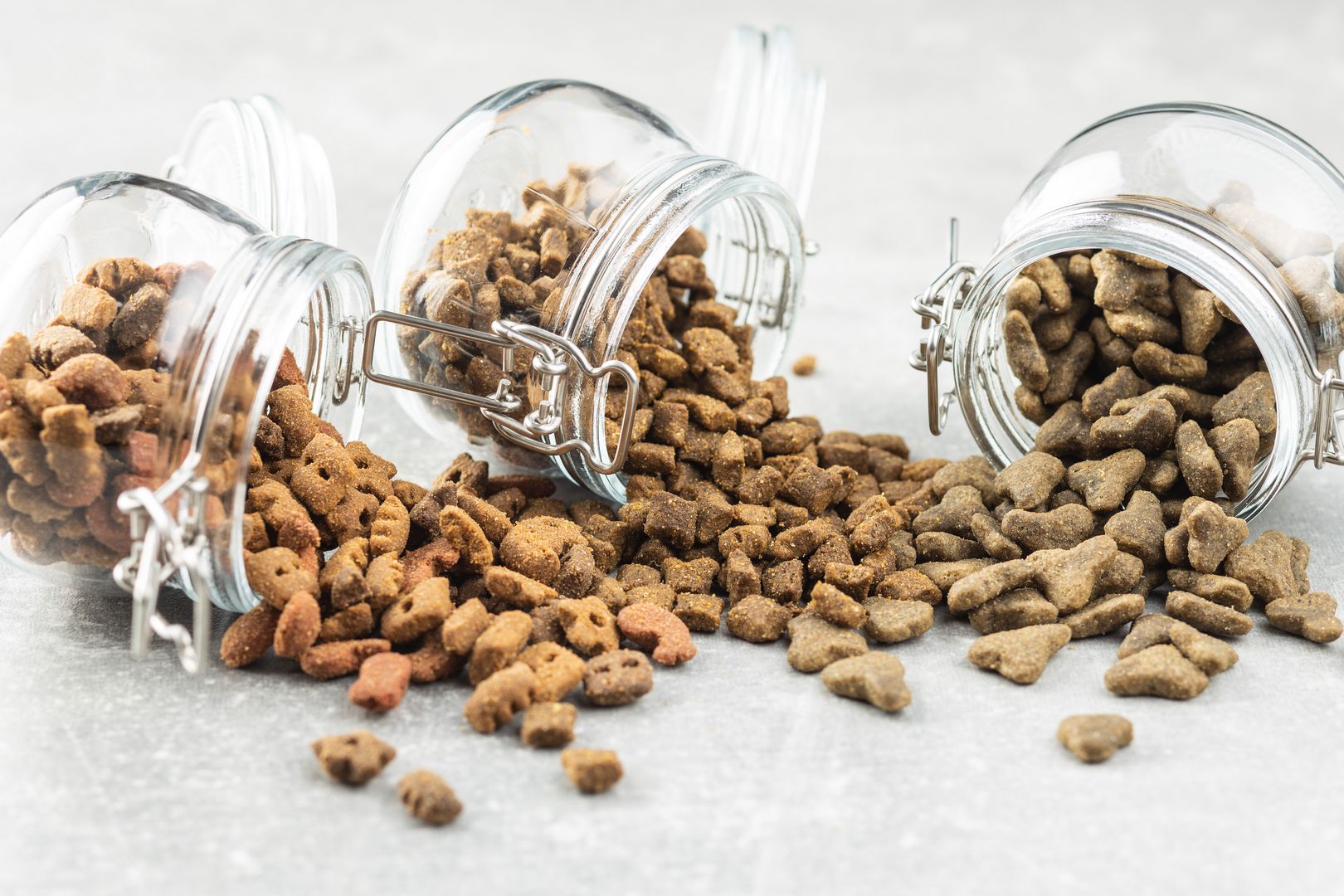 Dry pet food. Kibble dog or cat food in jar.